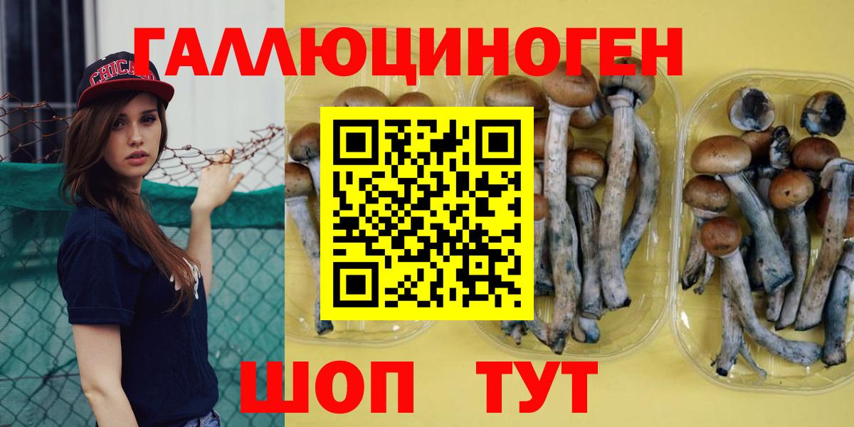 Псилоцибиновые грибы Magic Shrooms Моздок
